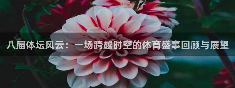 杏鑫f凯捷注册
