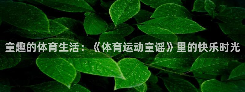 杏鑫3代理