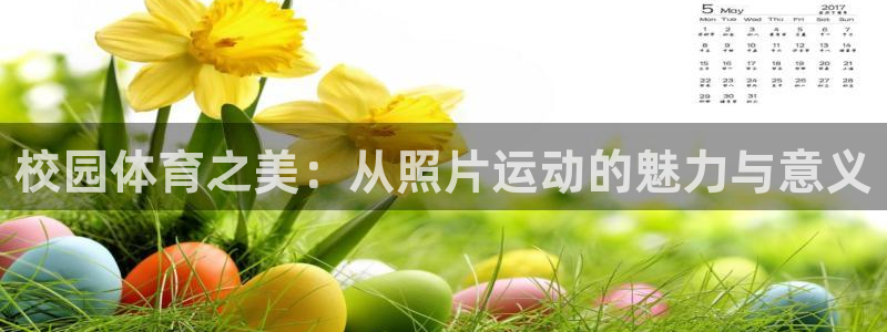 杏鑫集团