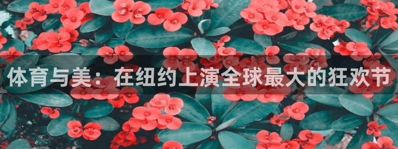 杏鑫注册