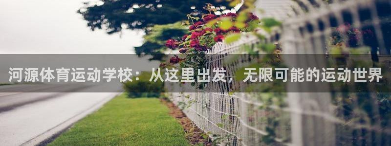 杏鑫体育2官网入口
