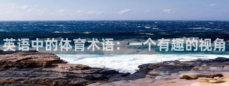 杏鑫包怎么样