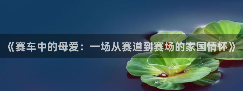 杏鑫体育凯捷平台代理