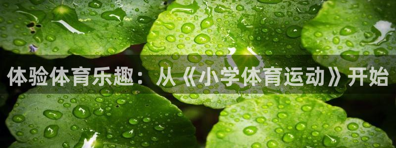 杏鑫体育凯捷代理注册
