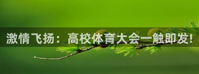 杏鑫主管