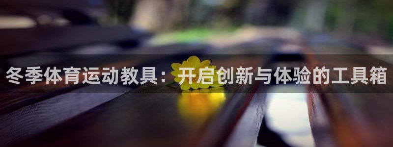 上海杏鑫汽车电子有限公司