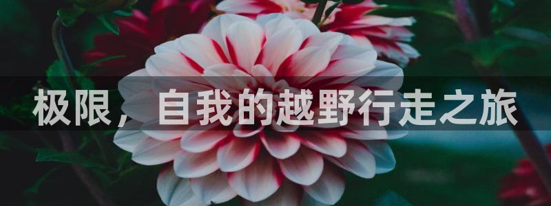 杏鑫f平台注册