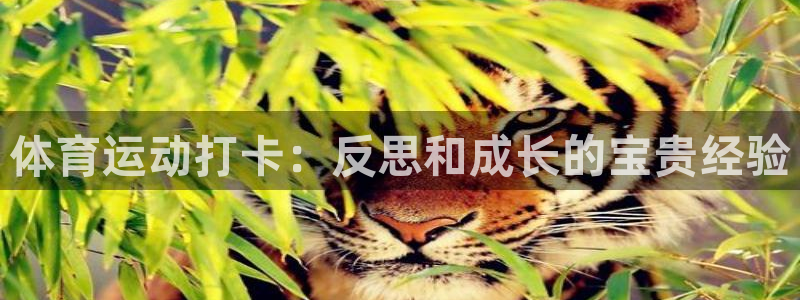 杏鑫能源