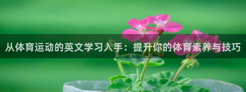 杏鑫3平台注册