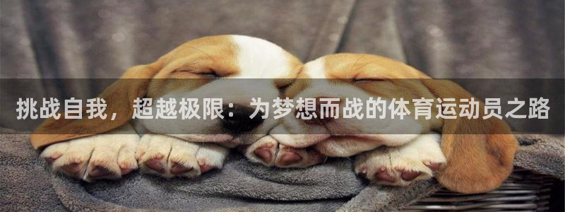 杏鑫体育1招商