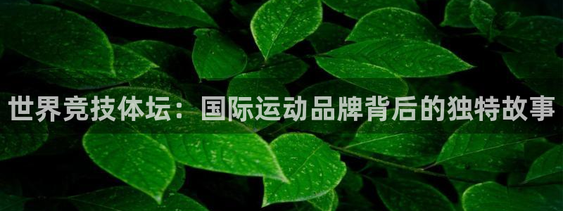 杏鑫体育免费注册入口