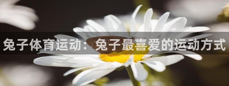 杏鑫体育2