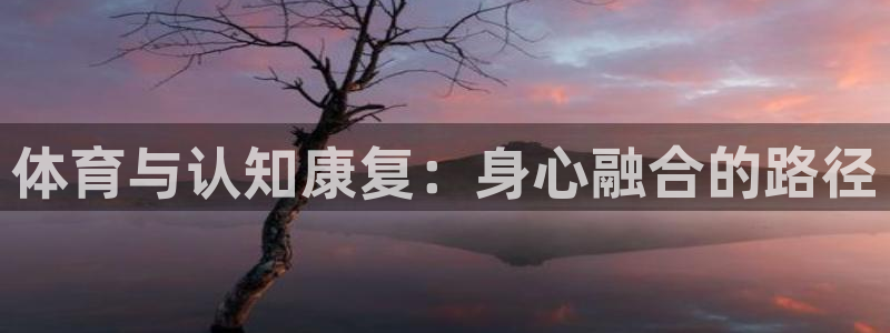 成都杏鑫电子有限公司