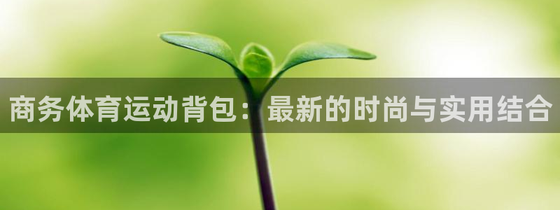杏鑫体育在线注册
