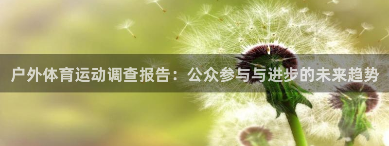 杏鑫集团股票