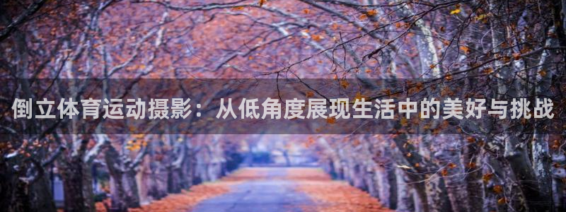 杏鑫4登录