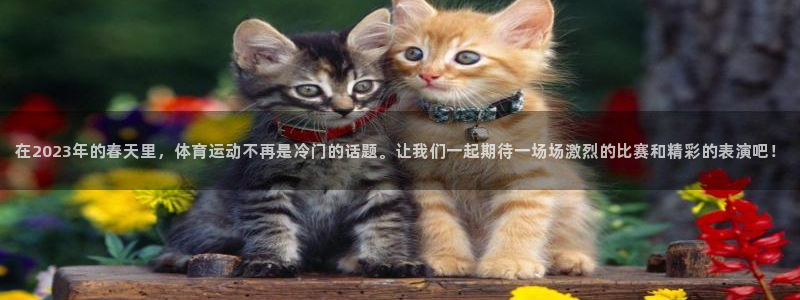 杏鑫平台开户链接