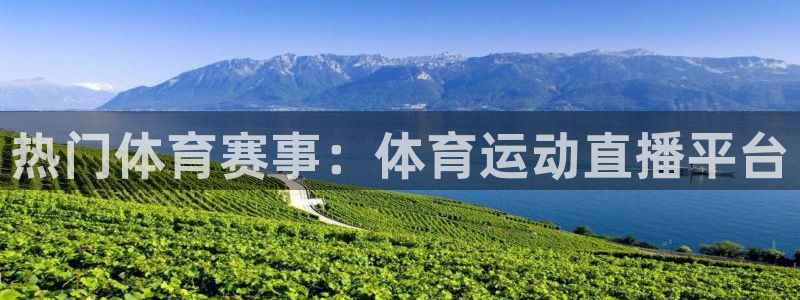 杏鑫体育3在线注册