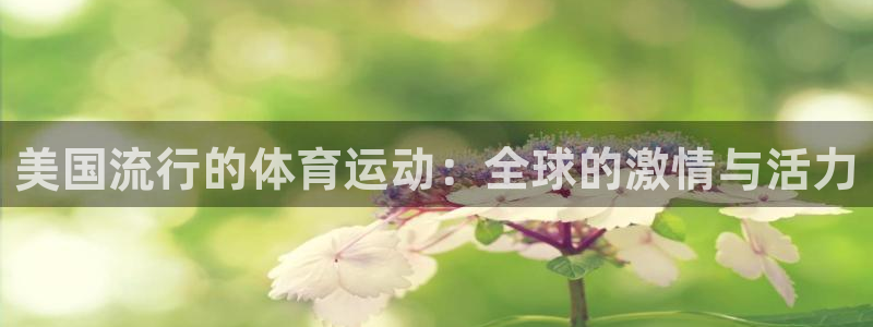 杏鑫2平台注册